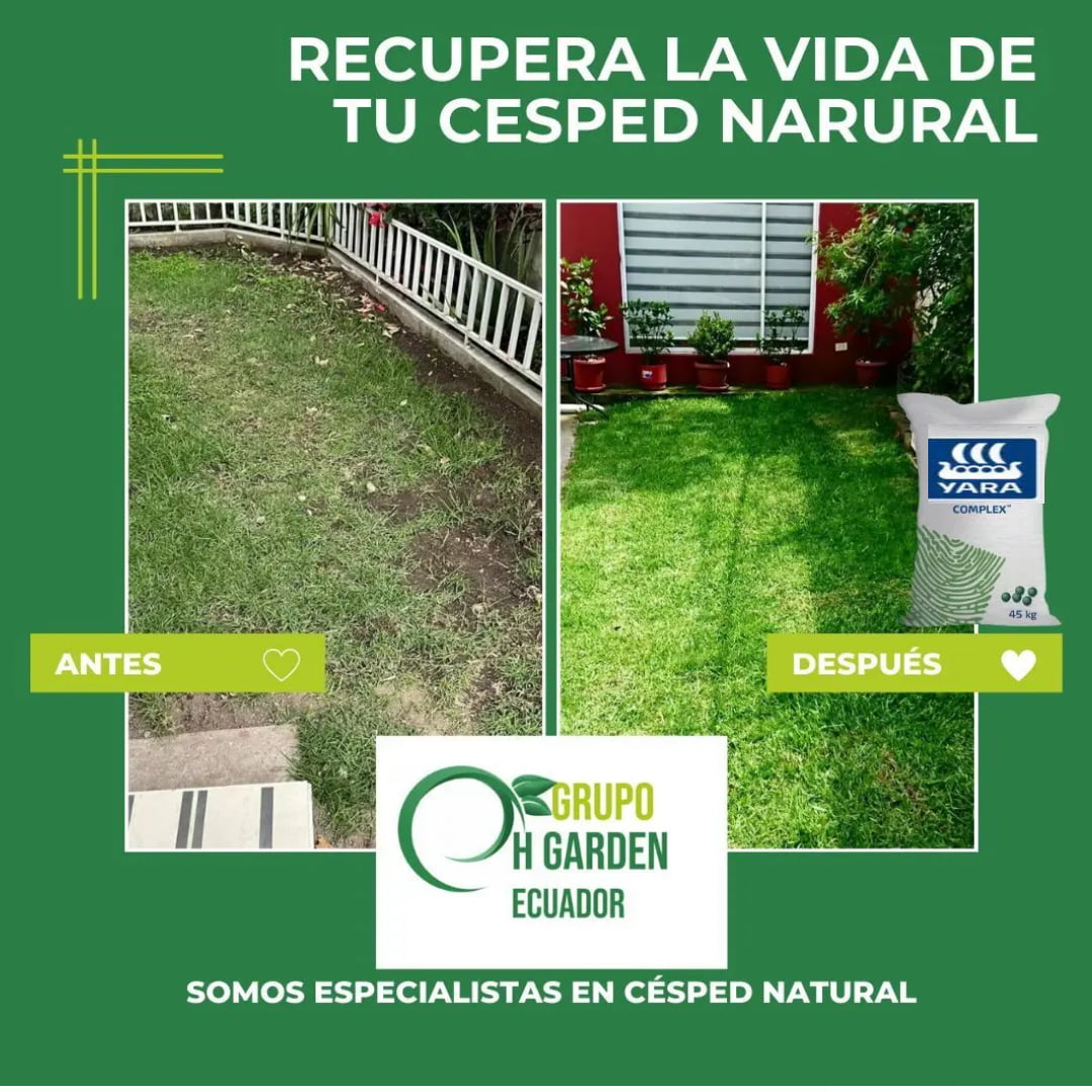 césped natural productos