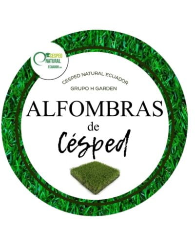 SEMILLAS DE CESPED NATURAL